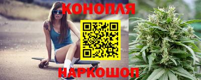 шишки Можайск