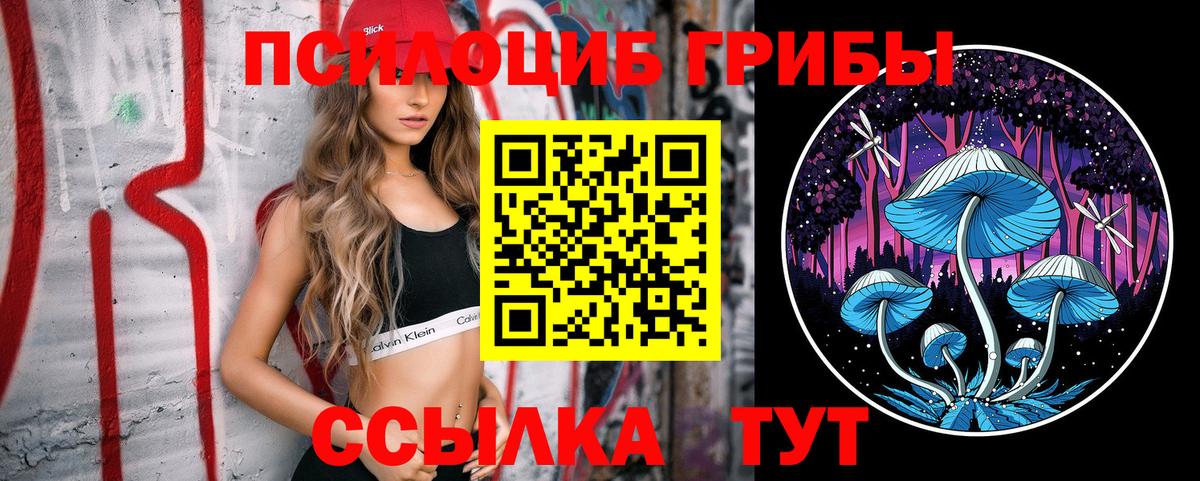 Шадринск  Псилоцибиновые грибы прущие грибы  Галлюциногенные грибы мицелий  Вход с VPN 