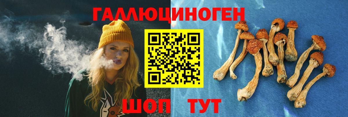 Кокаин  Шадринск  Вход с VPN  МЕФ   Гашиш 